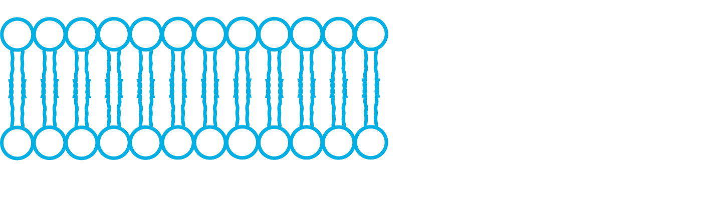 Lipid Layers